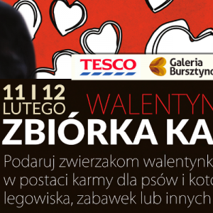 Zbiórka karmy dla psów i kotów w Galerii Bursztynowej