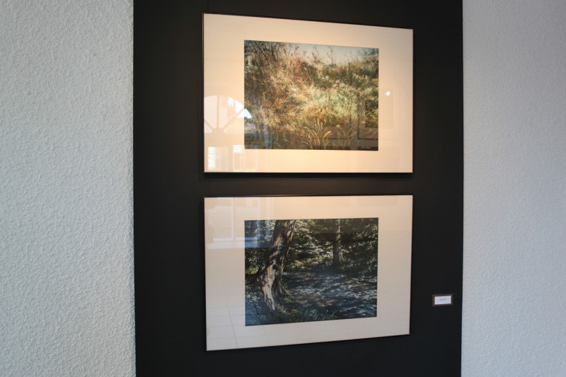 fot. Galeria Ostrołęka