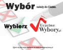 Jak policzą głosy Polonii? (VIDEO) 