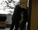 Bójka na spotkaniu z Palikotem [VIDEO] 