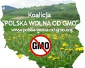 Nie dla GMO: „W Polsce nie będzie zdrowej żywności” [VIDEO] 