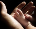 „Week for Life” w Parlamencie Europejskim 