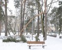 „Wiosenny atak” zimy połamał drzewa w parku miejskim [ZDJĘCIA]