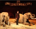 Cyrk Zalewski w Ostrołęce [ZDJĘCIA]