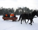 „Motylki” pożegnały ferie na kuligu [VIDEO, ZDJĘCIA]