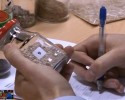 XXXI Olimpiada Młodych Producentów Rolnych 2013 [WYNIKI, WIDEO]