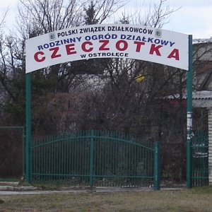 Ostrołęka: Pożar na ogródkach działkowych