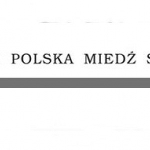 Tragiczny wypadek w Zakładach Górniczych Rudna. Nie żyje 42 - letni górnik