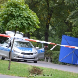 Zwłoki w parku miejskim [ZDJĘCIA]