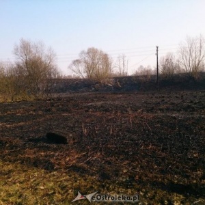 Pożar kotłowni w Łysych i trawy w Damiętach i Siarczej Łące