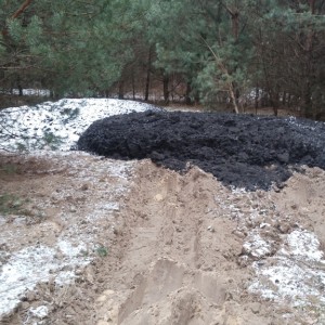 Interwencja Czytelnika: Kto wyrzuca cuchnące odpady do lasu? [ZDJĘCIA]