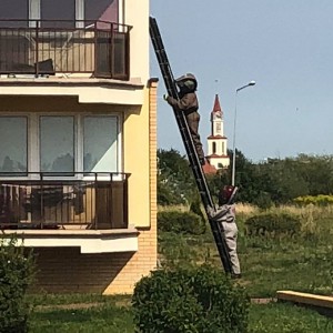 Gniazdo szerszeni w bloku przy alei Jana Pawła II [ZDJĘCIA]