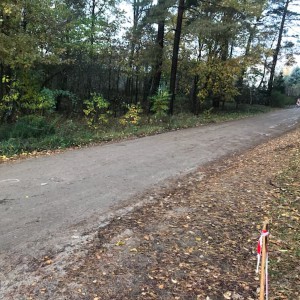 Interwencja Czytelnika: Budowa estakady mglistą obietnica bez pokrycia?