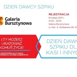 Dzień Dawcy Szpiku w Bursztynowej
