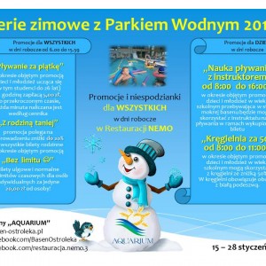 Ferie zimowe z parkiem wodnym Aquarium