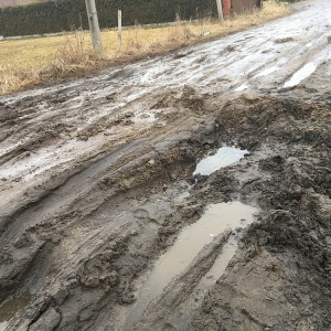 Interwencja Czytelnika: Zapomniana ulica Pamięci Narodowej [ZDJĘCIA]