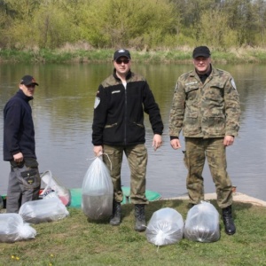 Kwietniowe zarybienie Narwi i Orza [ZDJĘCIA]