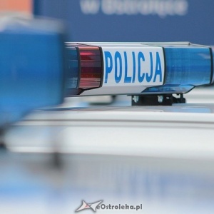 Makabryczne odkrycie niedaleko Ostrołęki. W lesie znaleziono ludzkie zwłoki