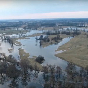 Piękny widok nad rozlewiskami Narwi (wideo z drona)