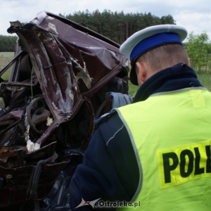 Zderzenie vw z łosiem w Olszynach