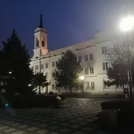 Kto zaopiniuje dotacje na sport? Powołano komisję