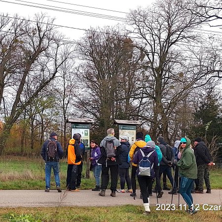 Policzyli liście w Czarnowcu i nie tylko... Leśny spacer świetnym sposobem na integrację