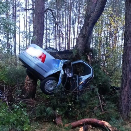 Kierowca zginął na miejscu. Wrak auta owinął się wokół drzewa [ZDJĘCIA]