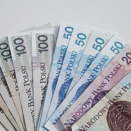 ZUS: ponad 1,8 mln wniosków o 800 plus