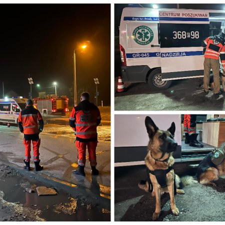 Ratownicy, planiści, psy tropiące. Tak wyglądały poszukiwania zaginionego w okolicach Ostrołęki