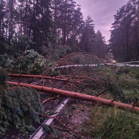 Natura pokazała swoją siłę. W Czarni krajobraz jak po armagedonie! [ZDJĘCIA]