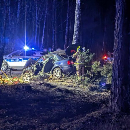 Nowe fakty w sprawie wypadku w Golance – 18-letni kierowca stracił panowanie nad audi [WIDEO, ZDJĘCIA]