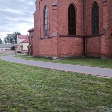 Nietypowa interwencja w Zalasie – strażacy w akcji