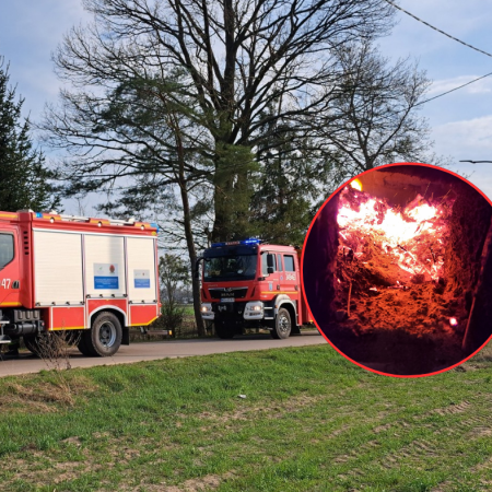 Pożar sadzy, traw i drzew. Wszystko w jednej wsi