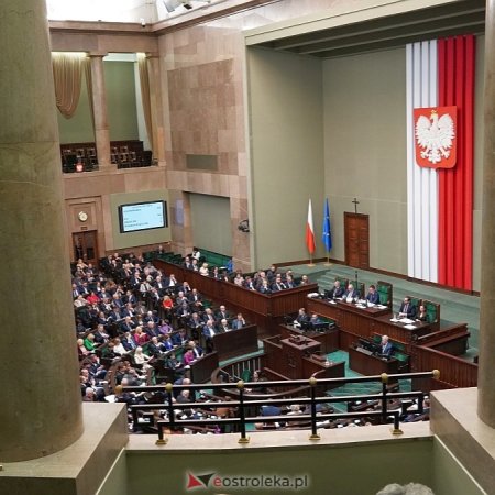 Czarzasty marszałkiem Sejmu. Jak głosowali posłowie z Ostrołęki? Była niespodzianka
