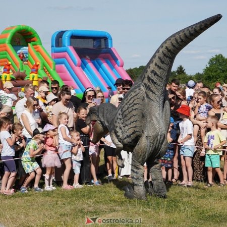 Festiwal Dinozaurów w Ostrołęce [ZDJĘCIA]