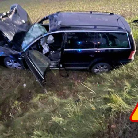 Wypadek na DK57: Volkswagen uderzył w łosia, auto wylądowało na drzewie!