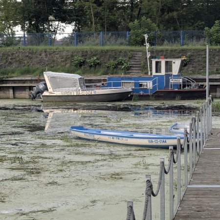 Port widmo. Susza odsłania smutny obraz Narwi w Ostrołęce [WIDEO, ZDJĘCIA]