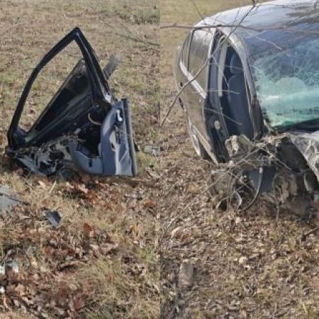 To był rajd ku śmierci. Pijany 44-latek wbił się w drzewo z ogromną siłą! [ZDJĘCIA]