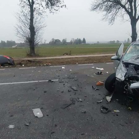 Groźny wypadek! Ford zderzył się z jeleniem, a następnie czołowo z Oplem [ZDJĘCIA]