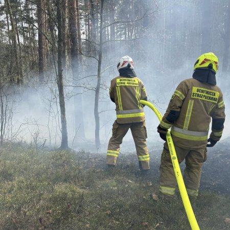 Alarm pod Ostrołęką! Pilot zauważył pożar lasu z powietrza