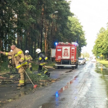 Żywioł nie oszczędził Ostrołęki. Strażacy i energetycy interweniowali po burzy [ZDJĘCIA]