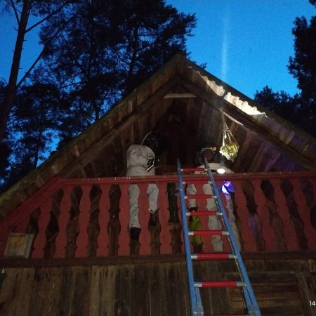 Nieproszeni „lokatorzy” pod dachem. Strażacy ruszyli do akcji [ZDJĘCIA]