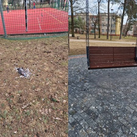 "Czy tak powinien wyglądać park miejski w Ostrołęce?". ZOBACZ ZDJĘCIA