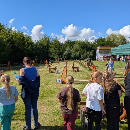 Koń, który nie je owsa. Na czym polega fenomen hobby horse? [WIDEO, ZDJĘCIA]