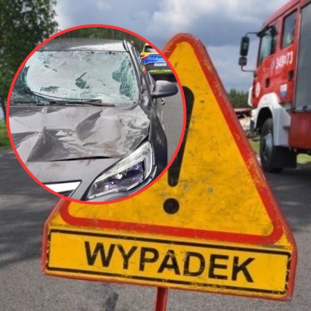 Nie miał żadnych szans na reakcję. Sarna wbiegła wprost pod samochód!