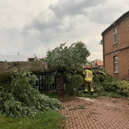 Połamane drzewa i zerwane linie energetyczne. Oto bilans burz [ZDJĘCIA]