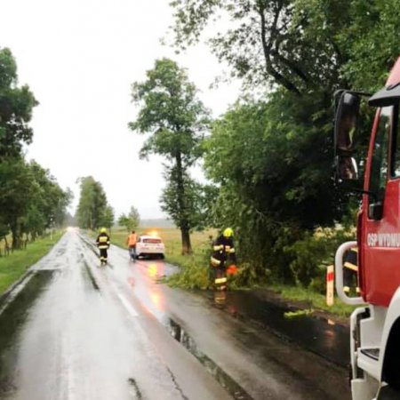 Burze, ulewy i silny wiatr. Strażacy usuwali powalone drzewa