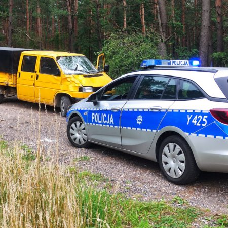 Wypadek w Łodziskach na DK-53 [ZDJĘCIA]