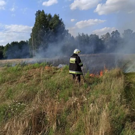 Pożar nieużytków w Chrostowie [ZDJĘCIA]