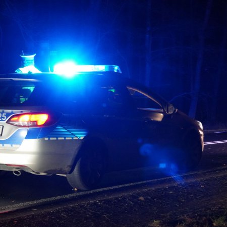Kolizje z dziką zwierzyną w powiecie ostrołęckim – apel o ostrożność